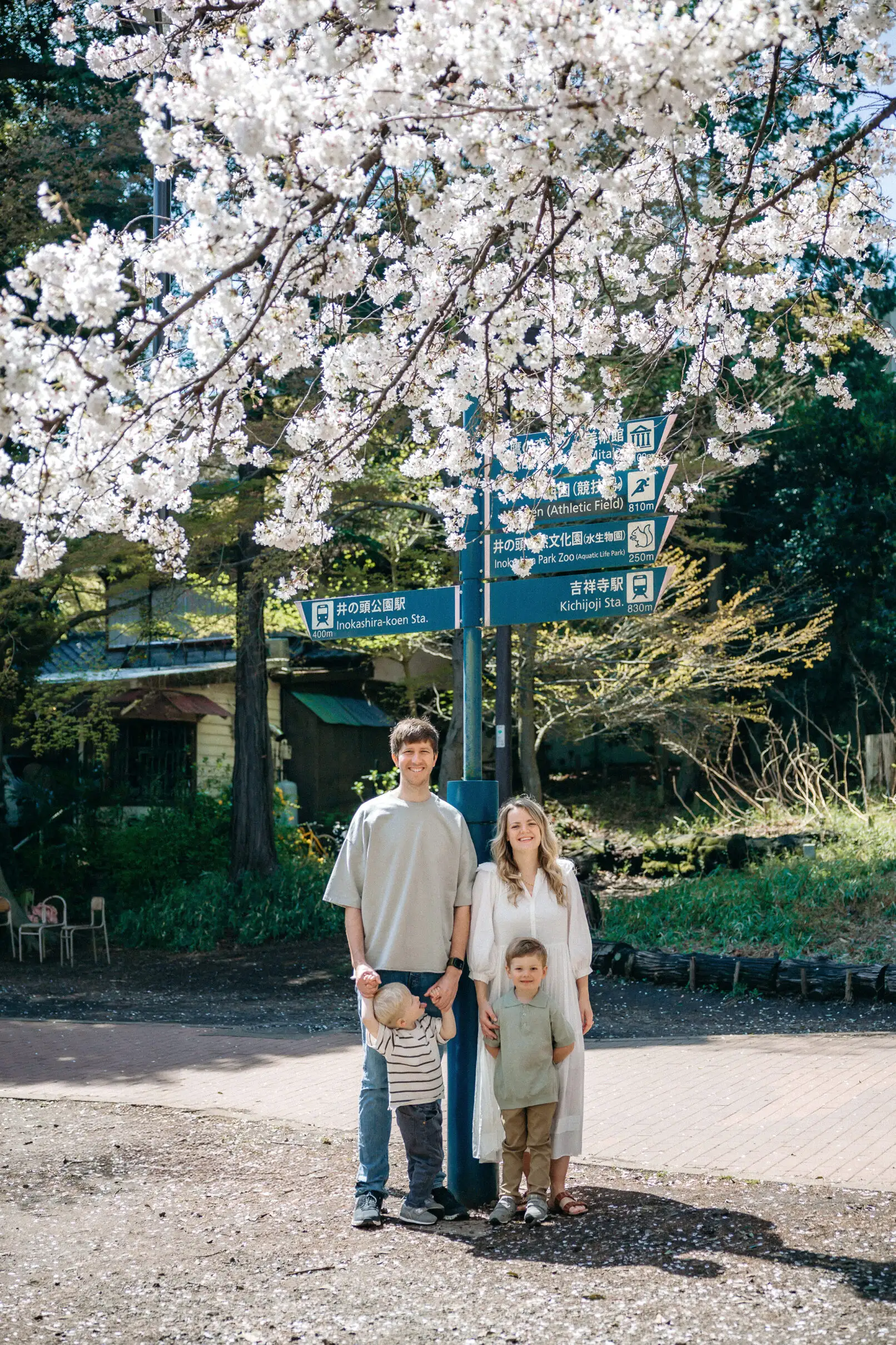 Cherry Blossom Family Photoshoot in Inokashira Park, Tokyo Photos at park no.13 - uvegotmoment Tokyo photography