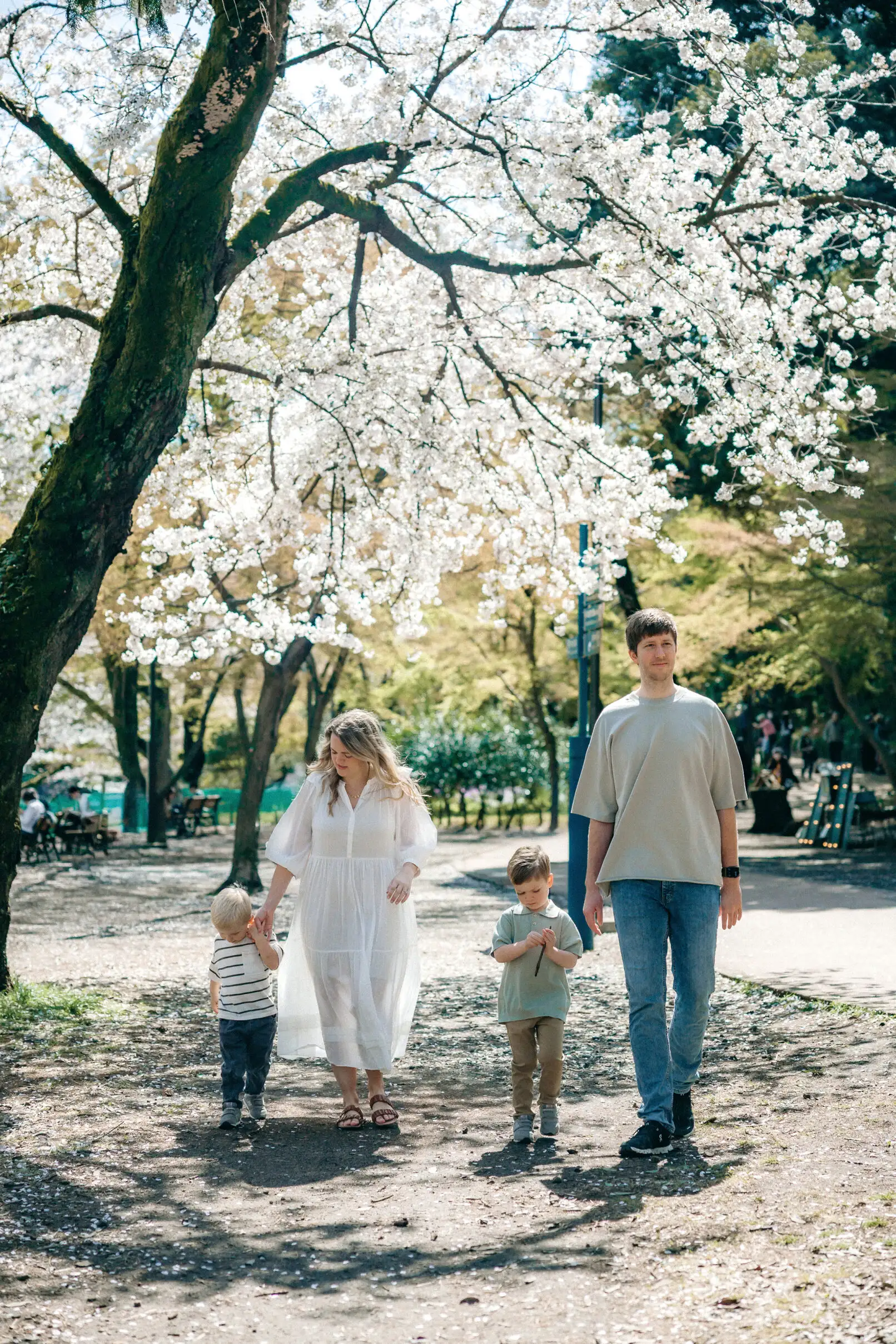 Cherry Blossom Family Photoshoot in Inokashira Park, Tokyo Photos at park no.14 - uvegotmoment Tokyo photography