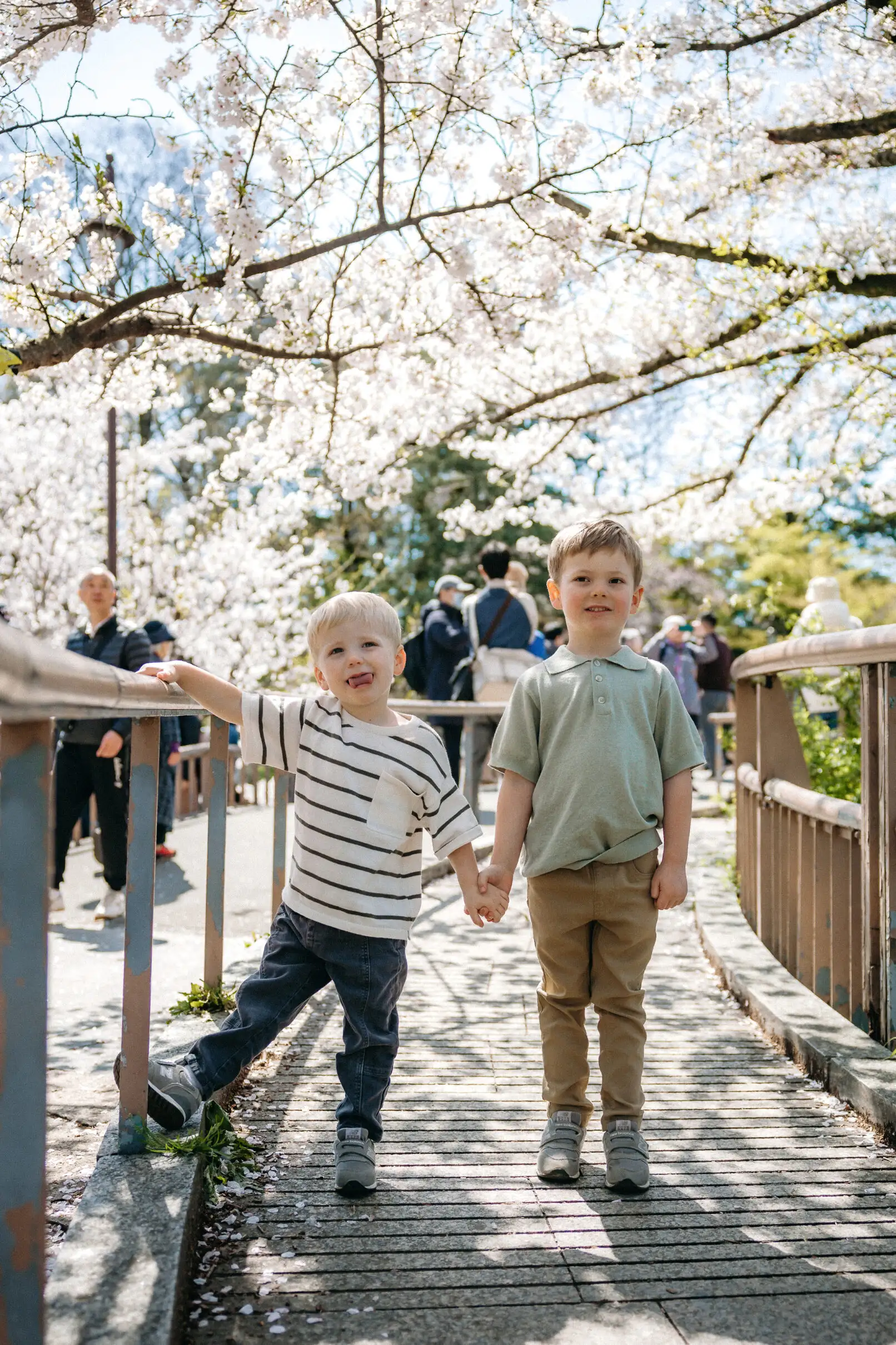 Cherry Blossom Family Photoshoot in Inokashira Park, Tokyo Photos at park no.19 - uvegotmoment Tokyo photography