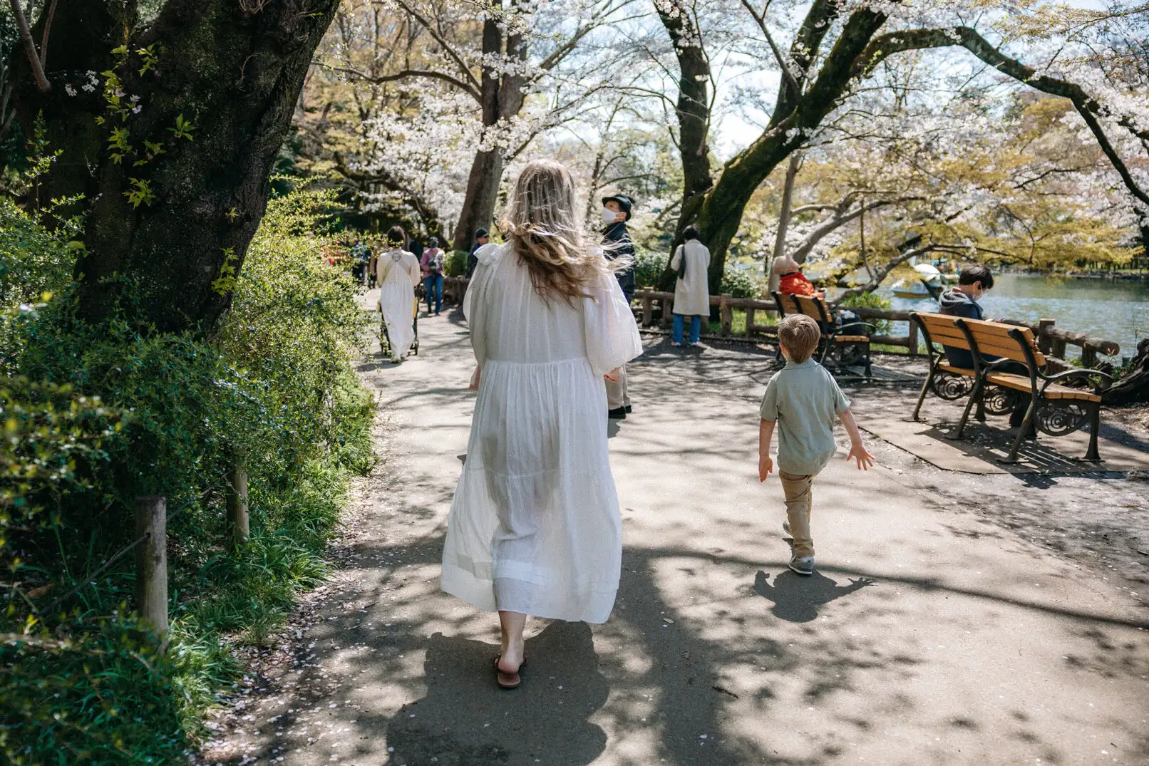 Cherry Blossom Family Photoshoot in Inokashira Park, Tokyo Photos at park no.25 - uvegotmoment Tokyo photography