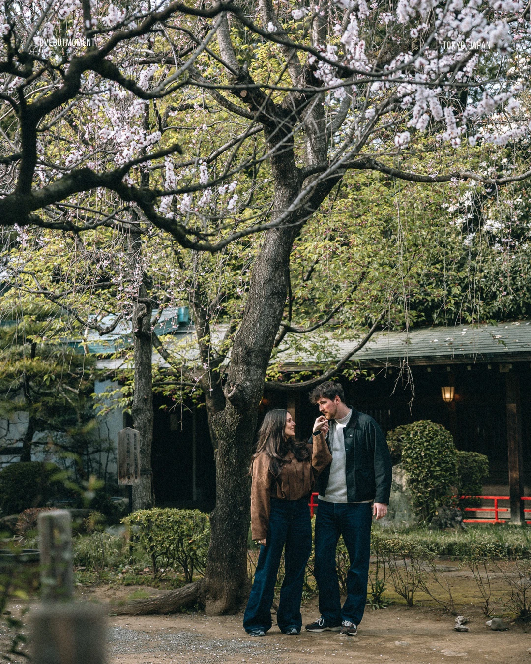 A Quiet Walk by the Train Tracks neighborhood Photos at residential no.7 - uvegotmoment Tokyo photography